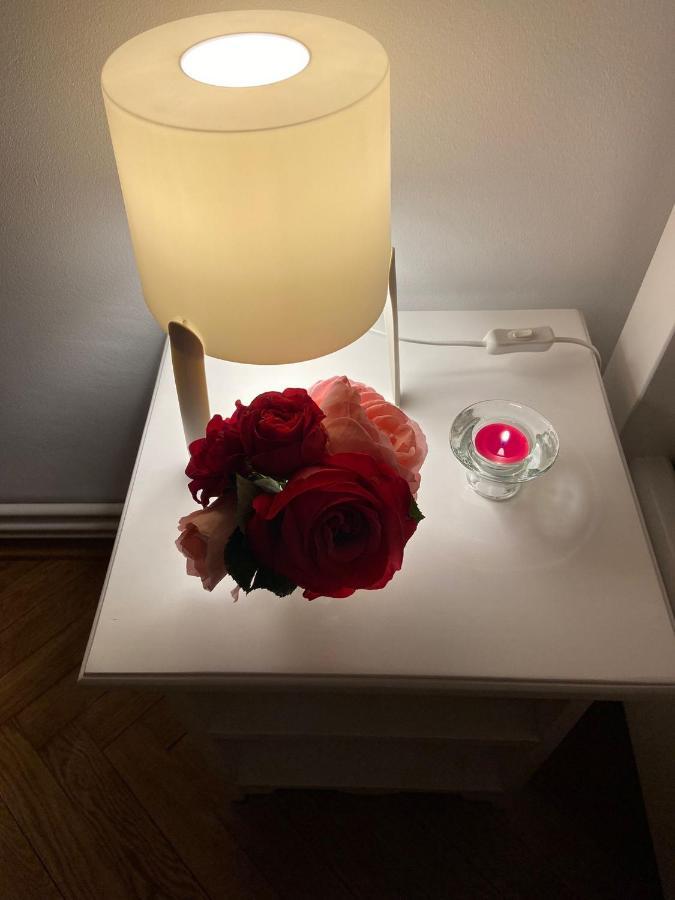 Daniela'S Apartaments 시기쇼아라 외부 사진