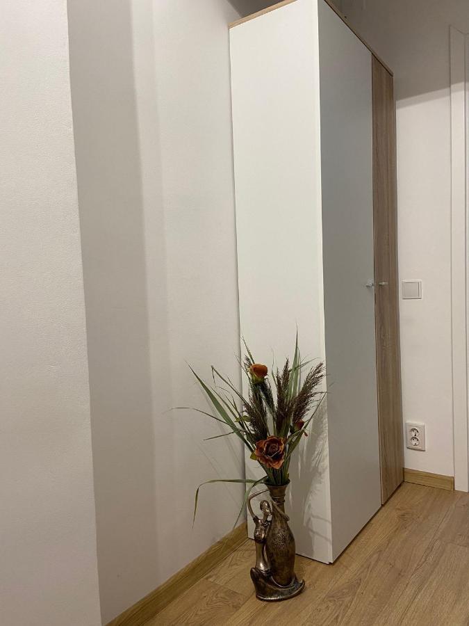 Daniela'S Apartaments 시기쇼아라 외부 사진